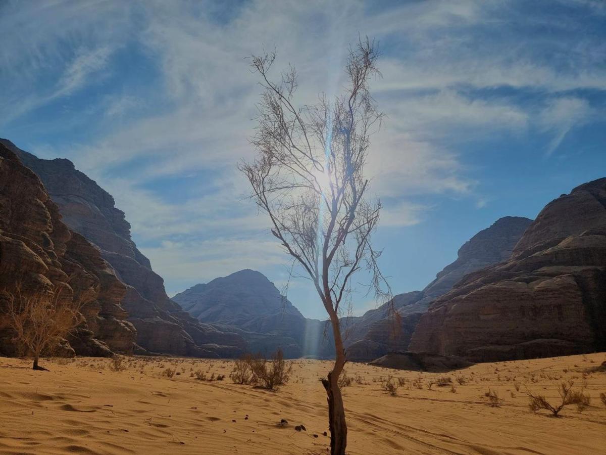 Wadi Rum Oscar Camp エクステリア 写真